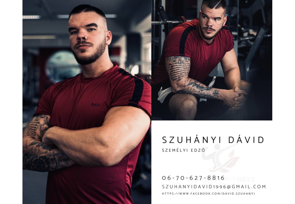 Szuhanyi David