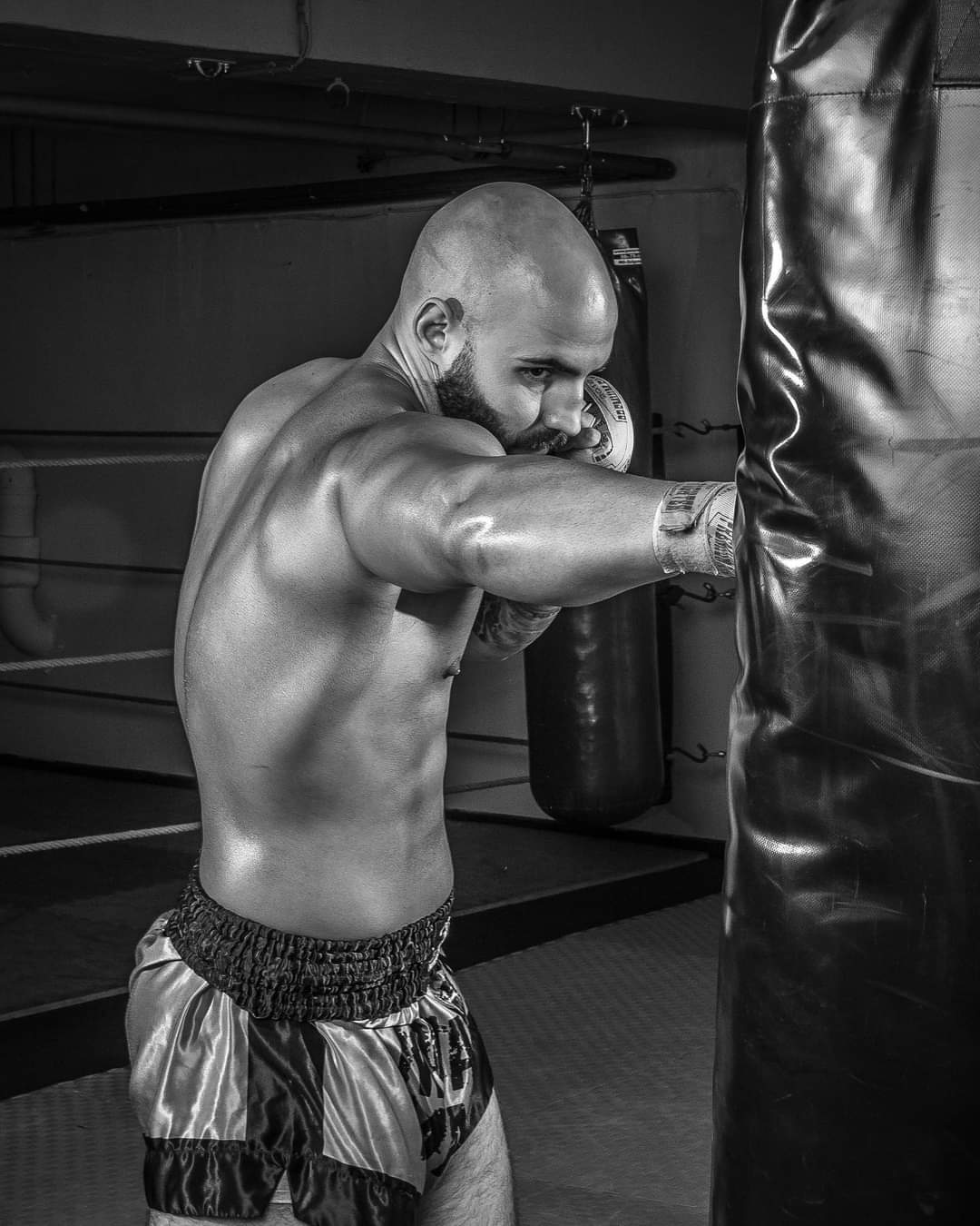 Galamboss Gym – kép 4